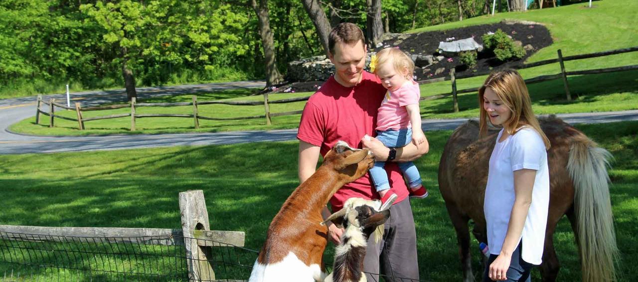 Rocky Acre Farm Bed & Breakfast Mount Joy Esterno foto