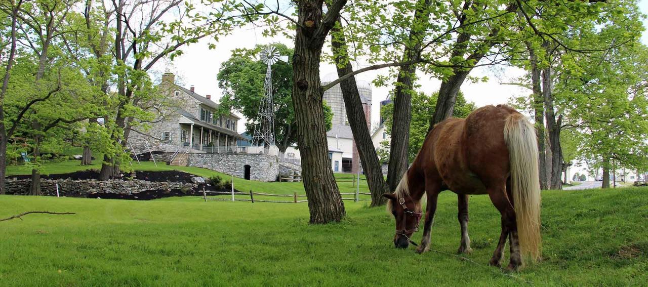 Rocky Acre Farm Bed & Breakfast Mount Joy Esterno foto